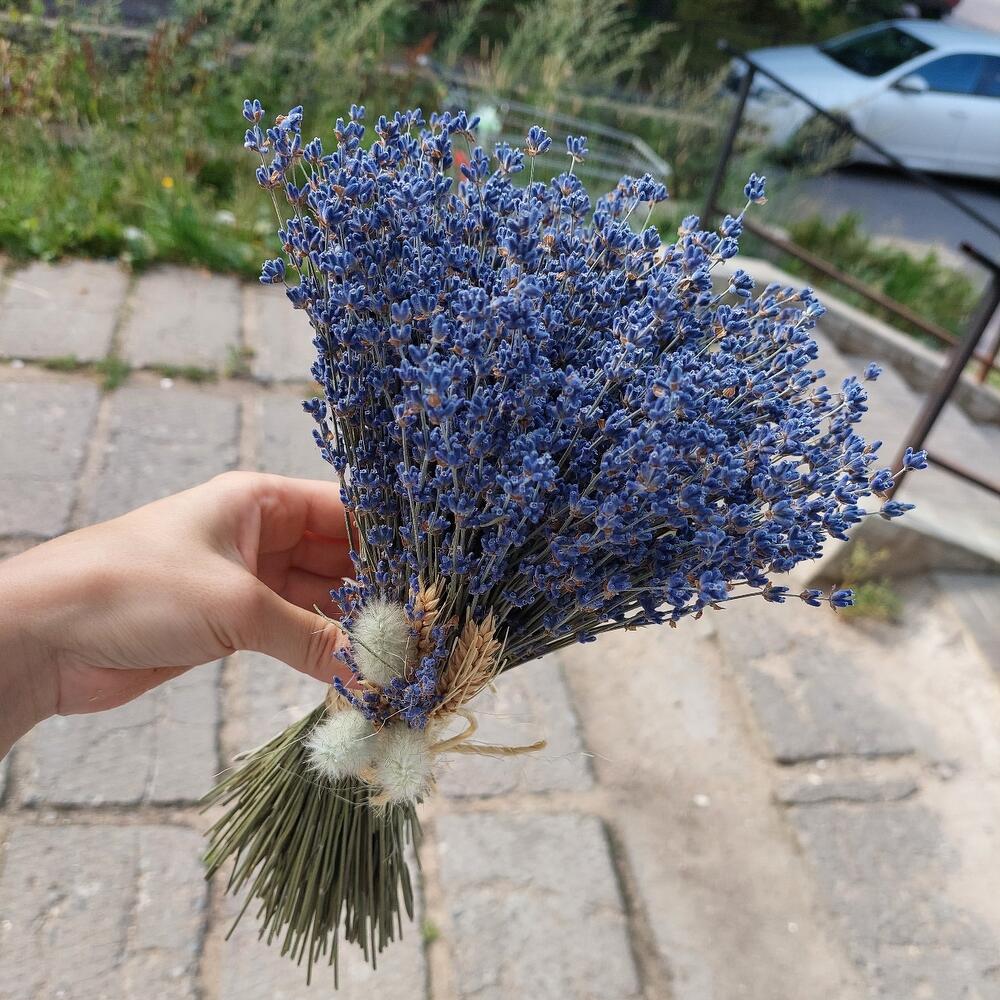 Букет ароматной лаванды