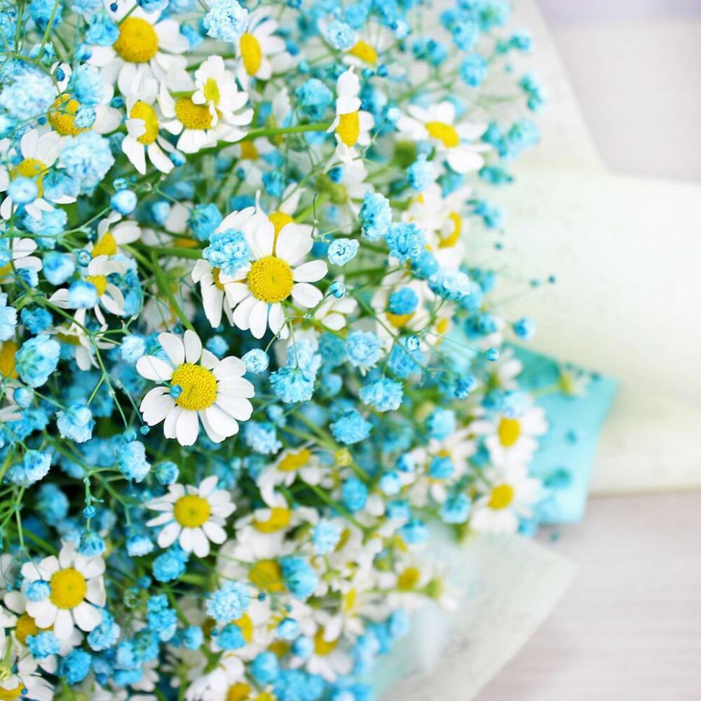 Коробка с ромашкой и гипсофилой 