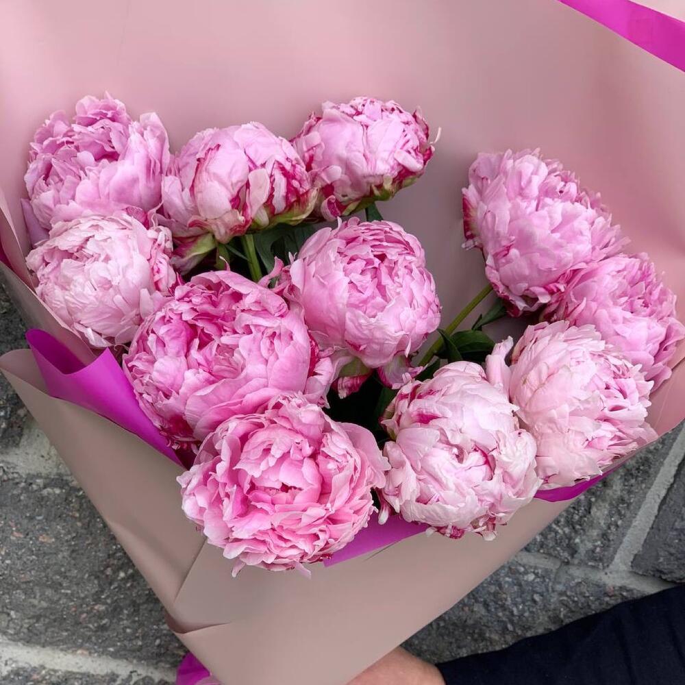 Пионы нежное прикосновение Пионы нежное прикосновение