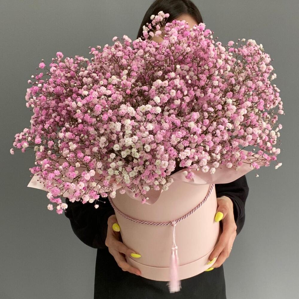 Цветы в  большой коробке - Гипсофилы