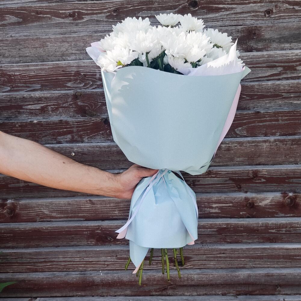 Хризантема ромашка