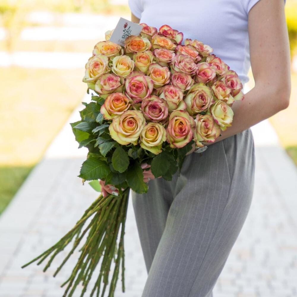 Розы Brocante розовые 31 шт 80 
см