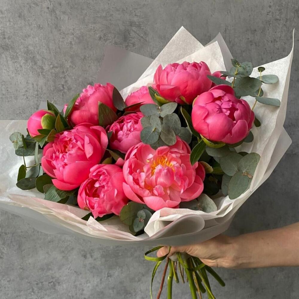 9 пионов корал шарм с эвкалиптом