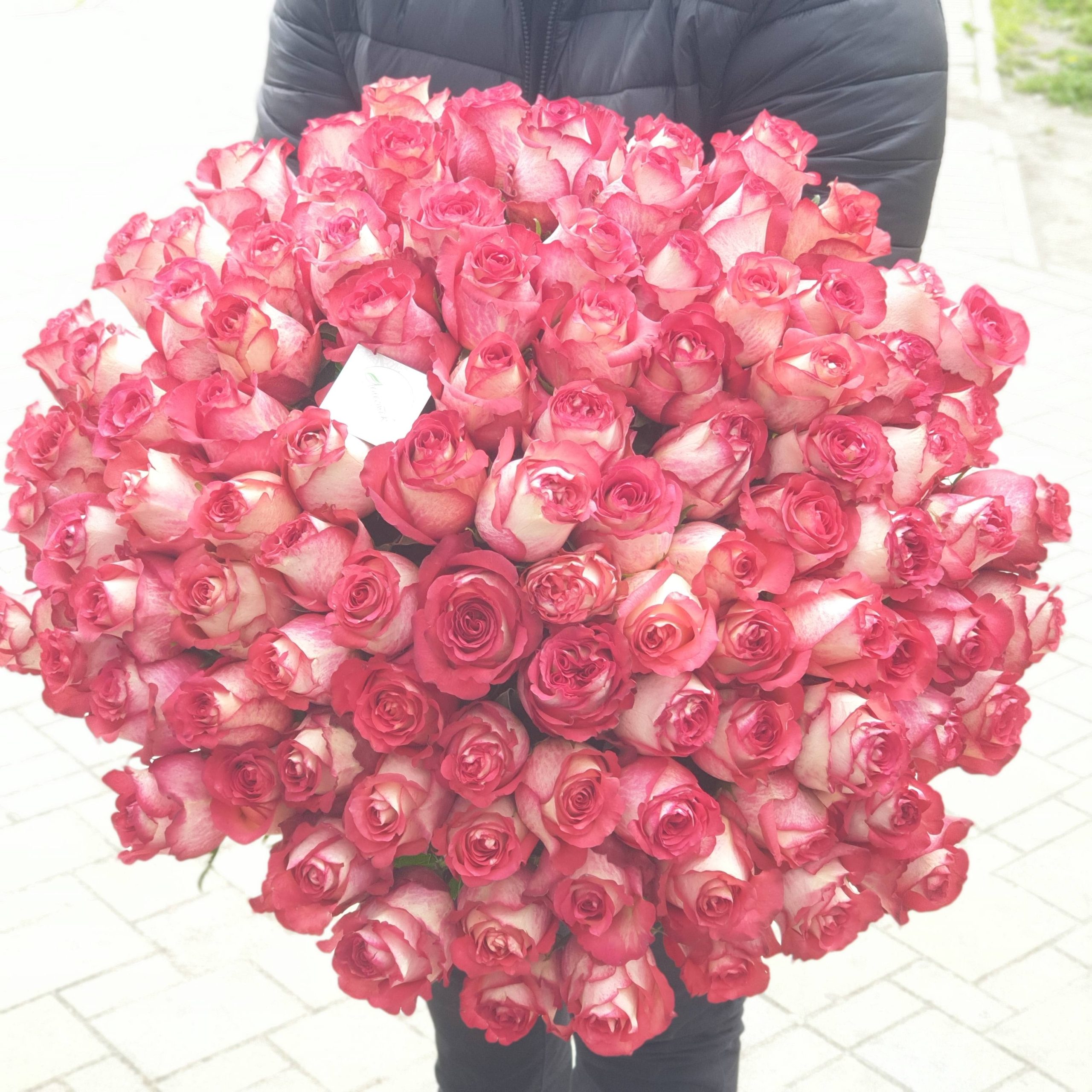 Букет из 101 розы Игуазу