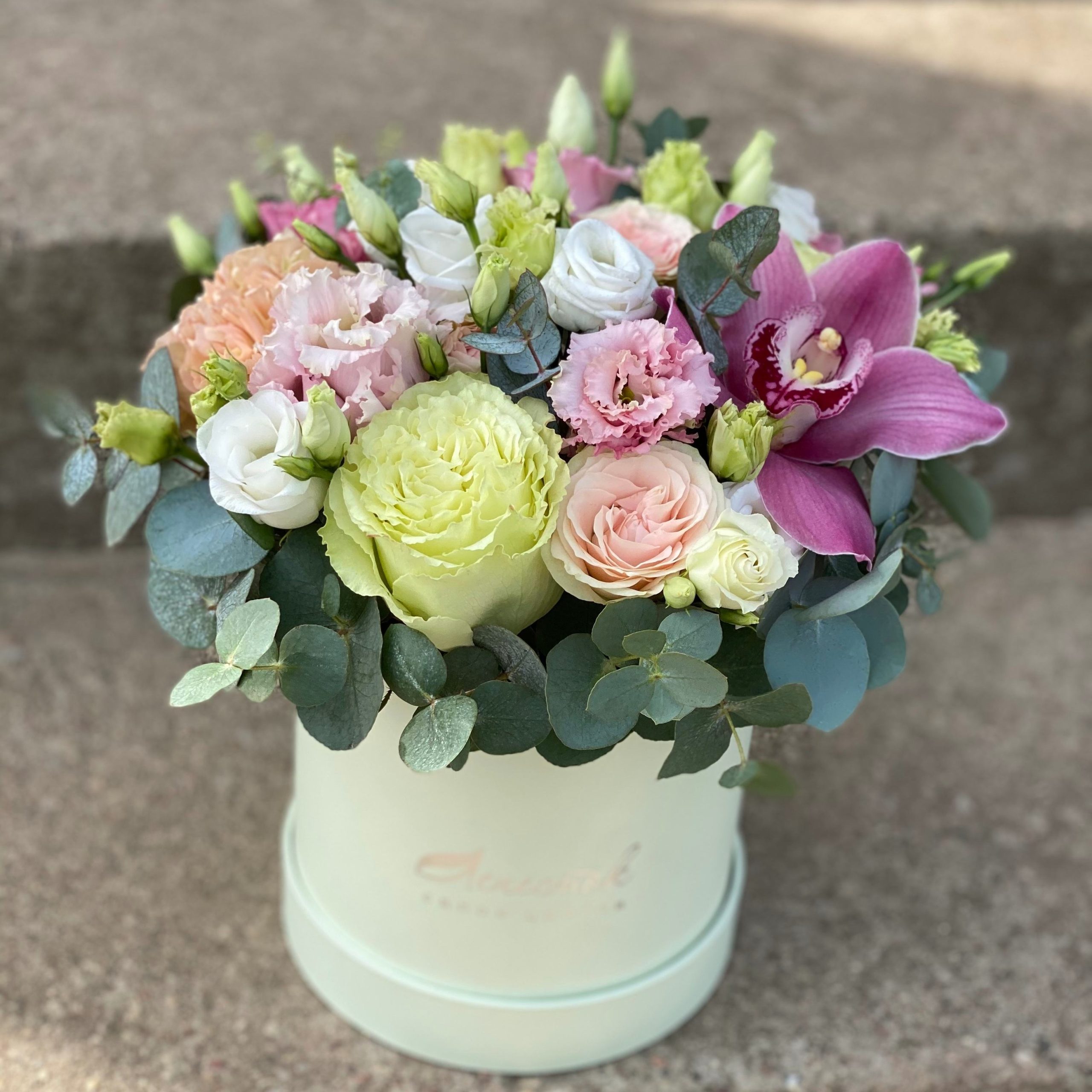 6da4b636-b764-4585-b935-01573568c8ee