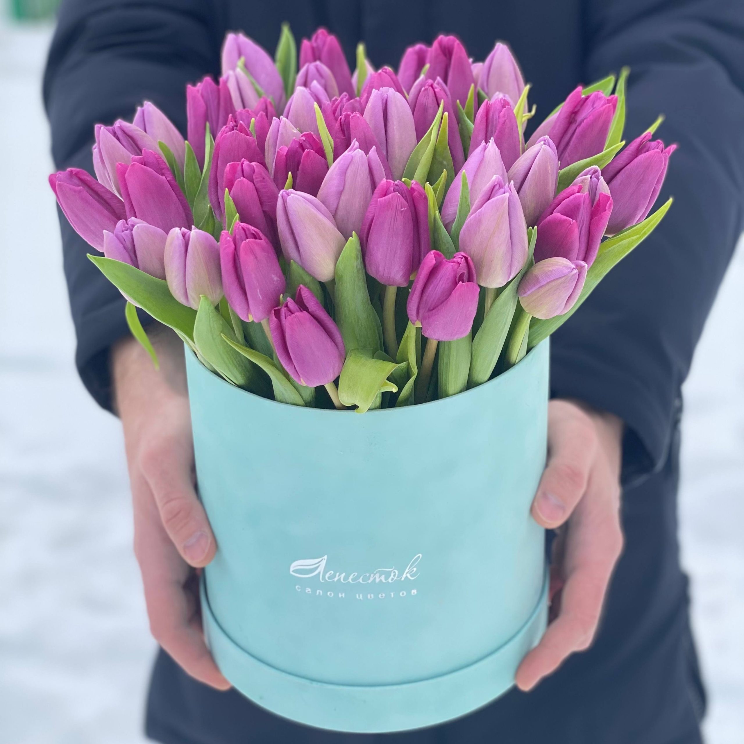 51 тюльпан в бархатном цилиндре